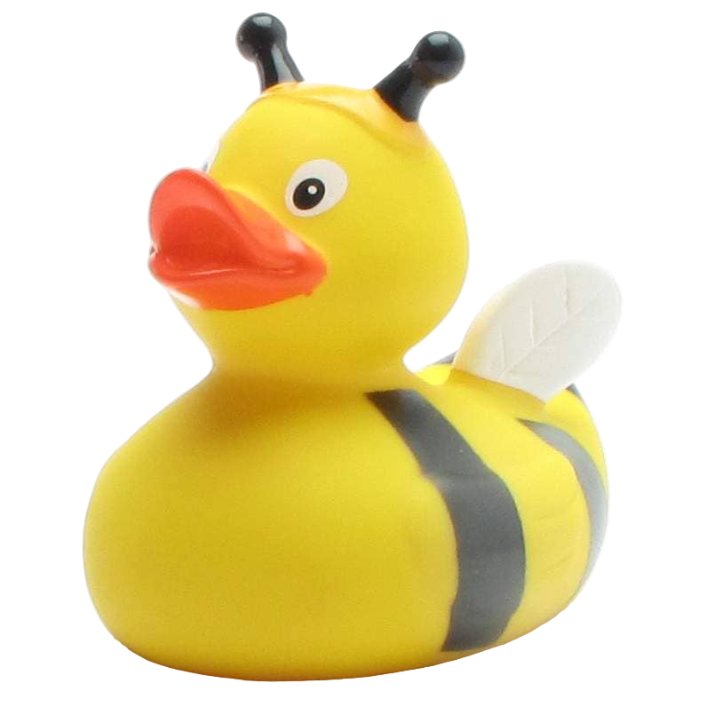 Canard Abeille
