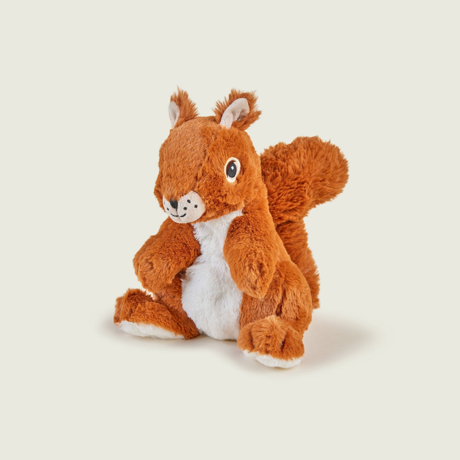 リス🐿