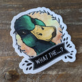 Sticker van een wilde eend met de tekst "Wat is dit...?"