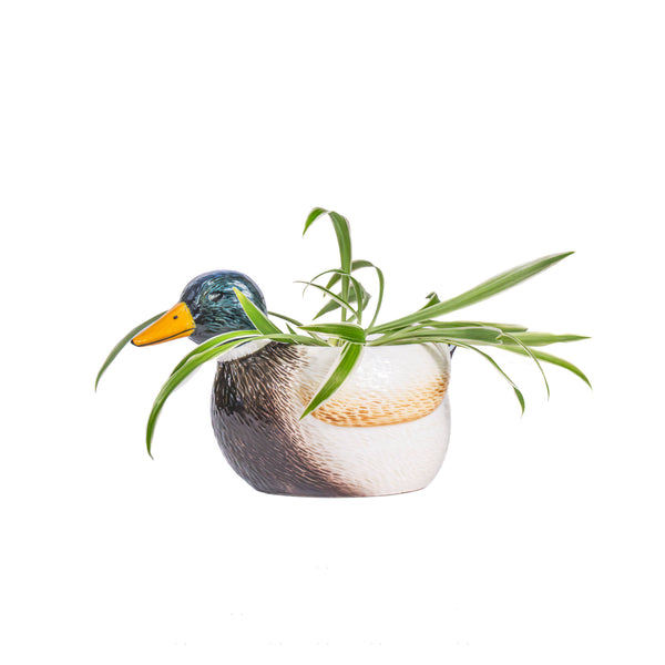Vaso em forma de mini pato-real
