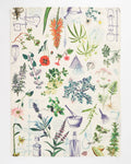 Medical Botany Cloth