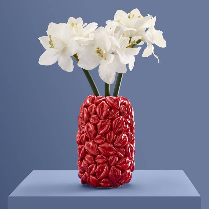 赤い唇の花瓶