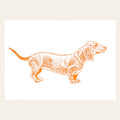 Postal de um Dachshund laranja néon
