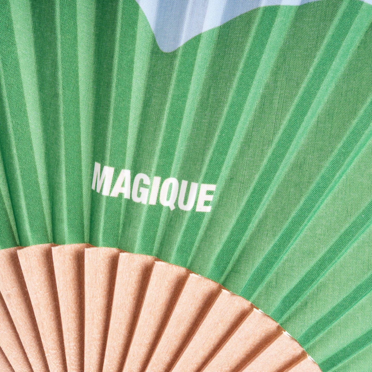 Fan Macro Fleur Verte Helio Ferretti Vue 3