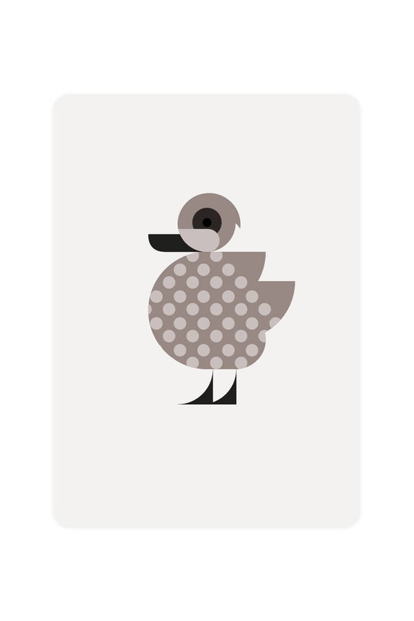 Postcard with marbled duck