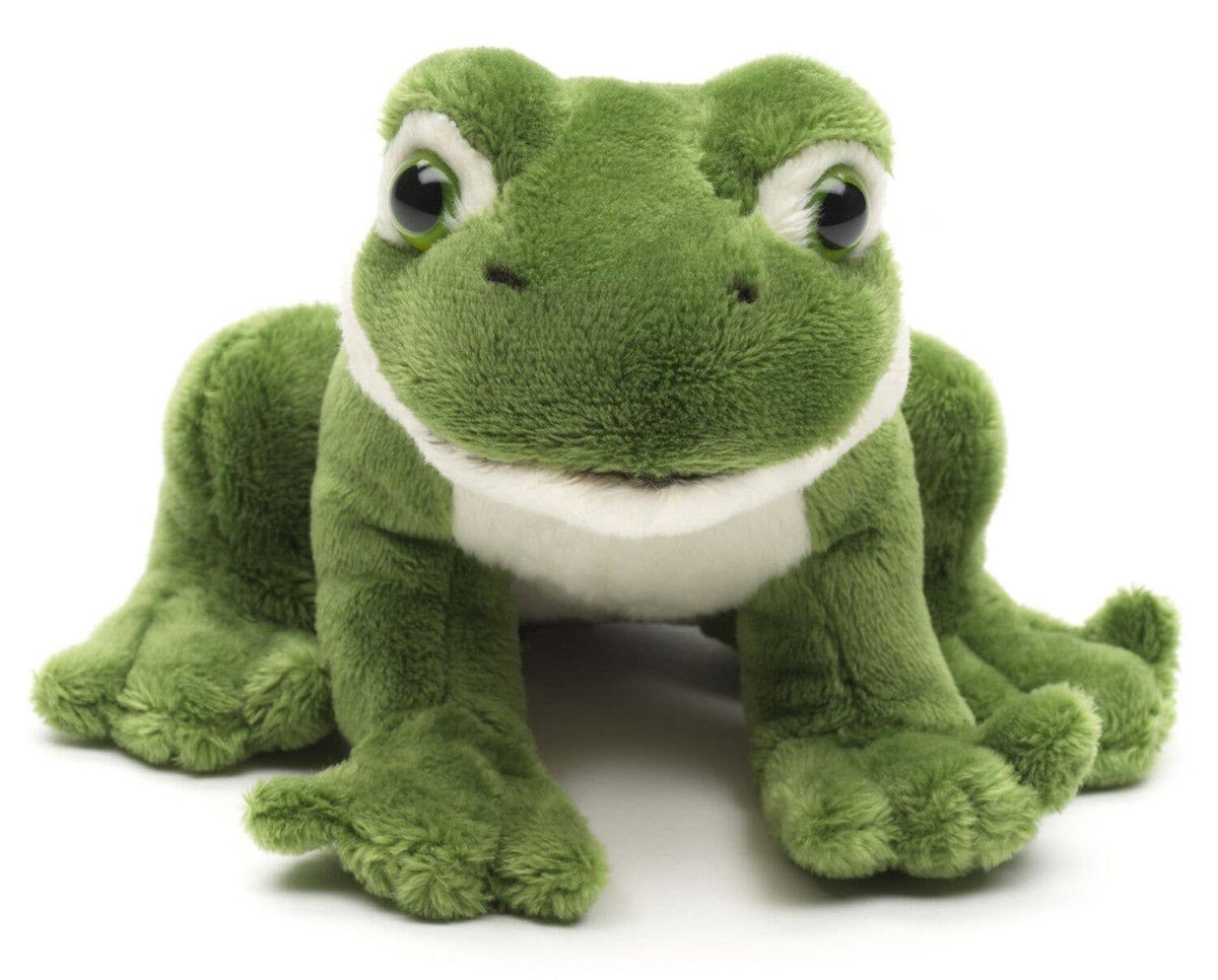 Peluche Grenouille Verte