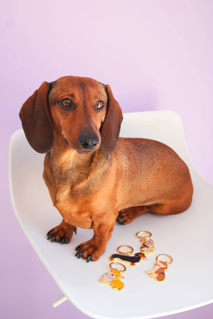 llavero de perro salchicha