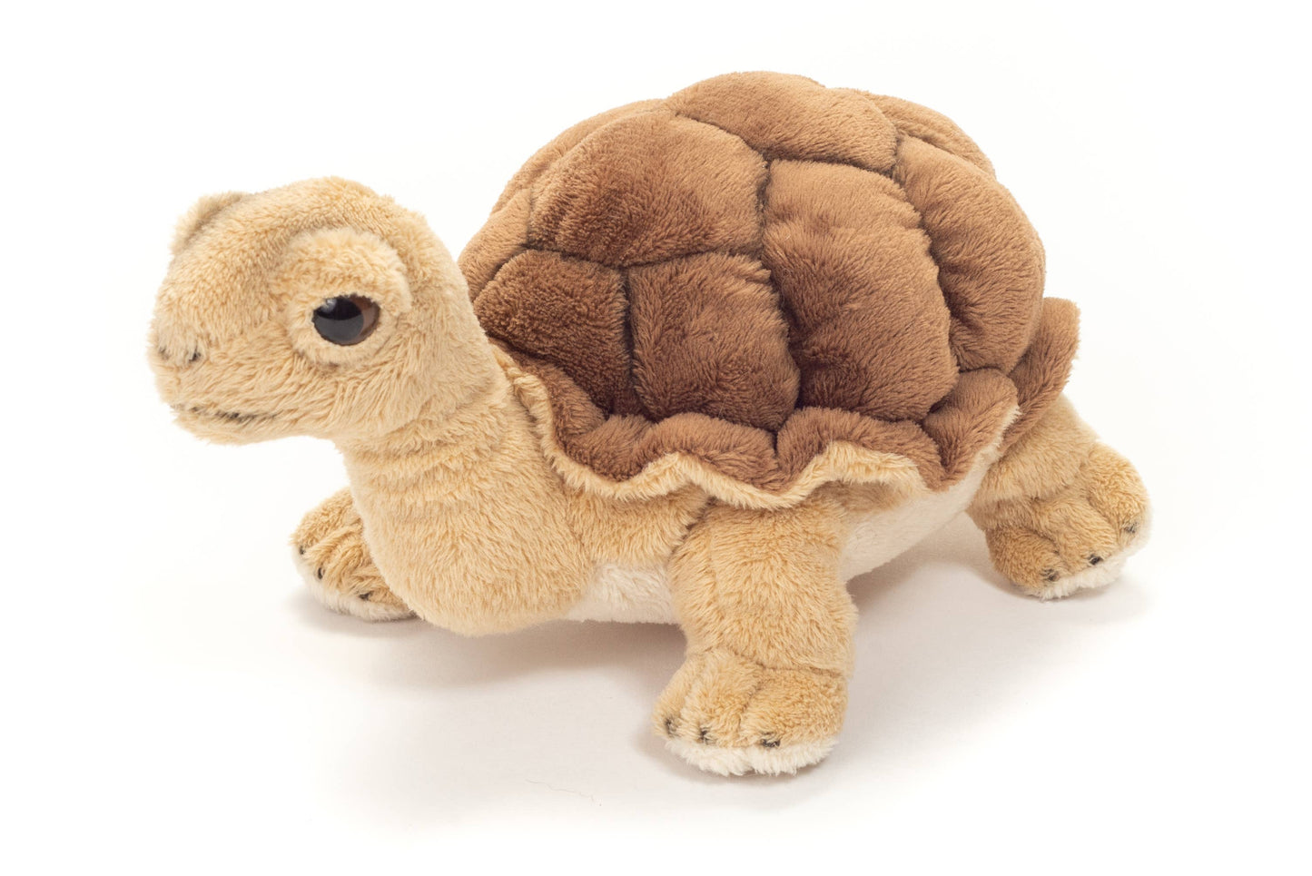 Tortuga de peluche
