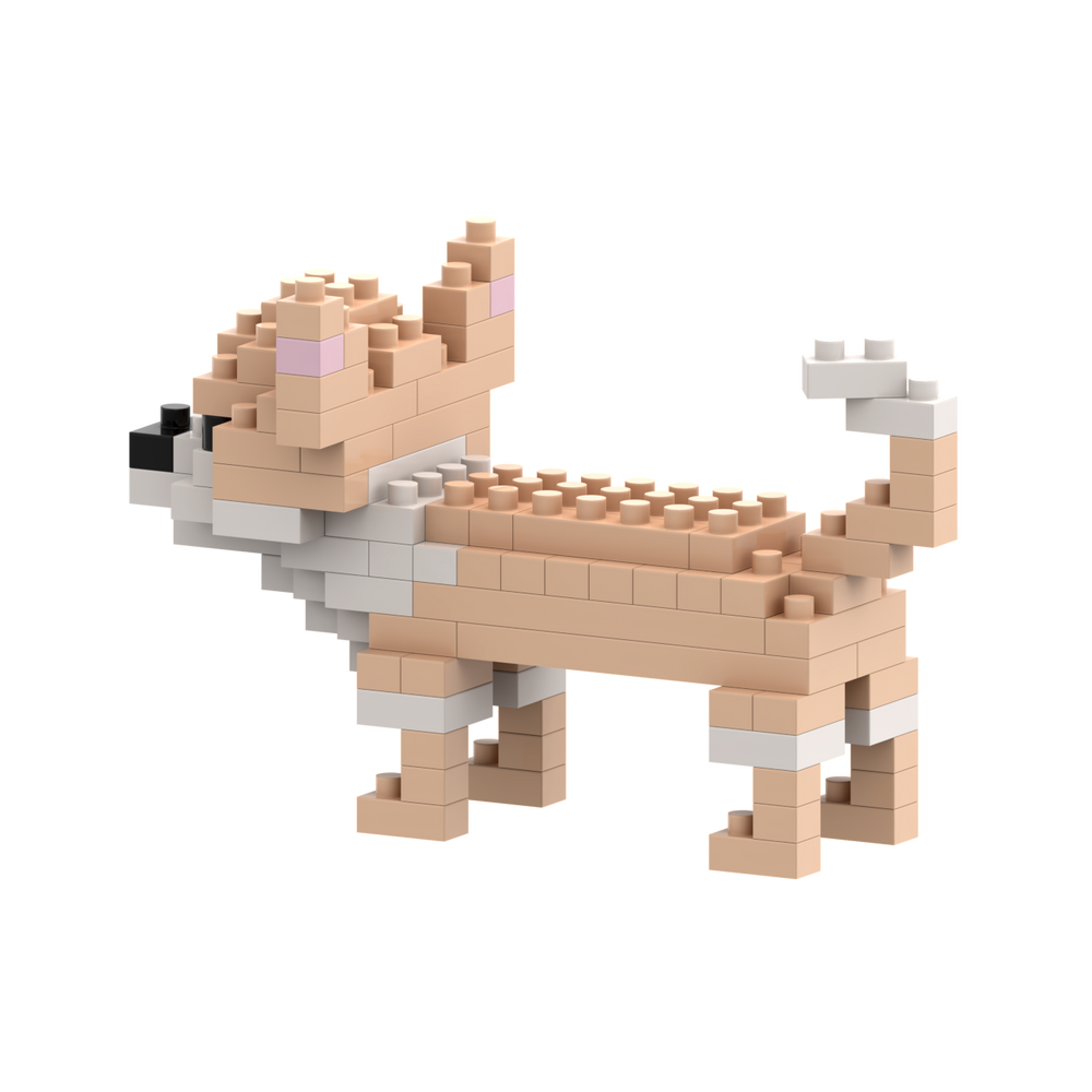 BRIXIES Chihuahua