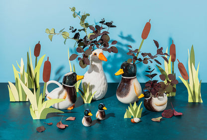 Arrosoir Canard Colvert