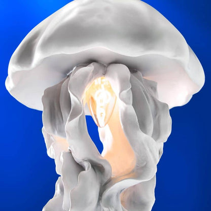 Lámpara de techo Ava, blanca, 22,5 x 21,5 x 42 cm