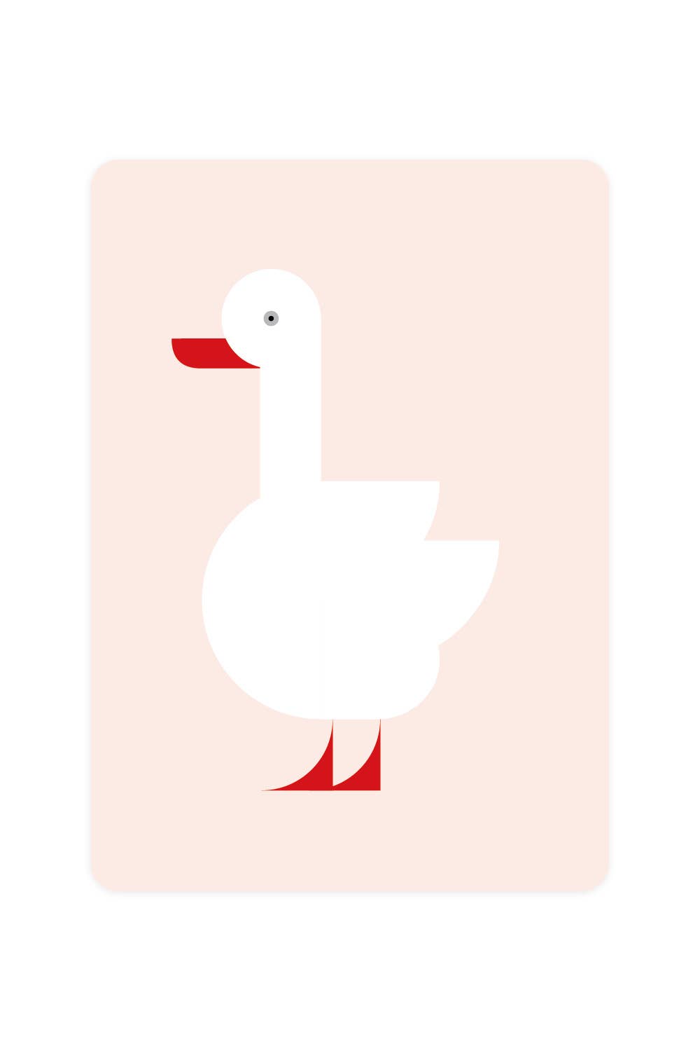 Postcard with Coscoroba swan