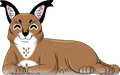 フロッパ
