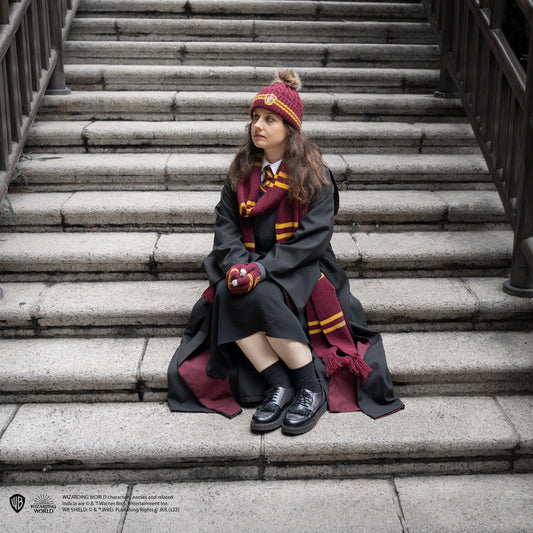 Adults' Deluxe Gryffindor Full Outfit