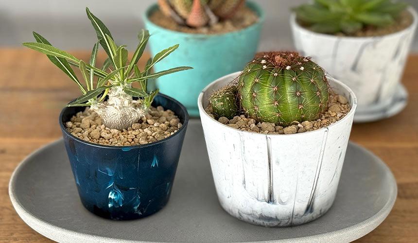 Pot Marble Garden 80