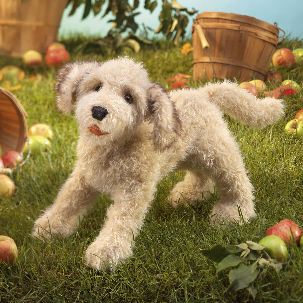 fantoche de mão labradoodle