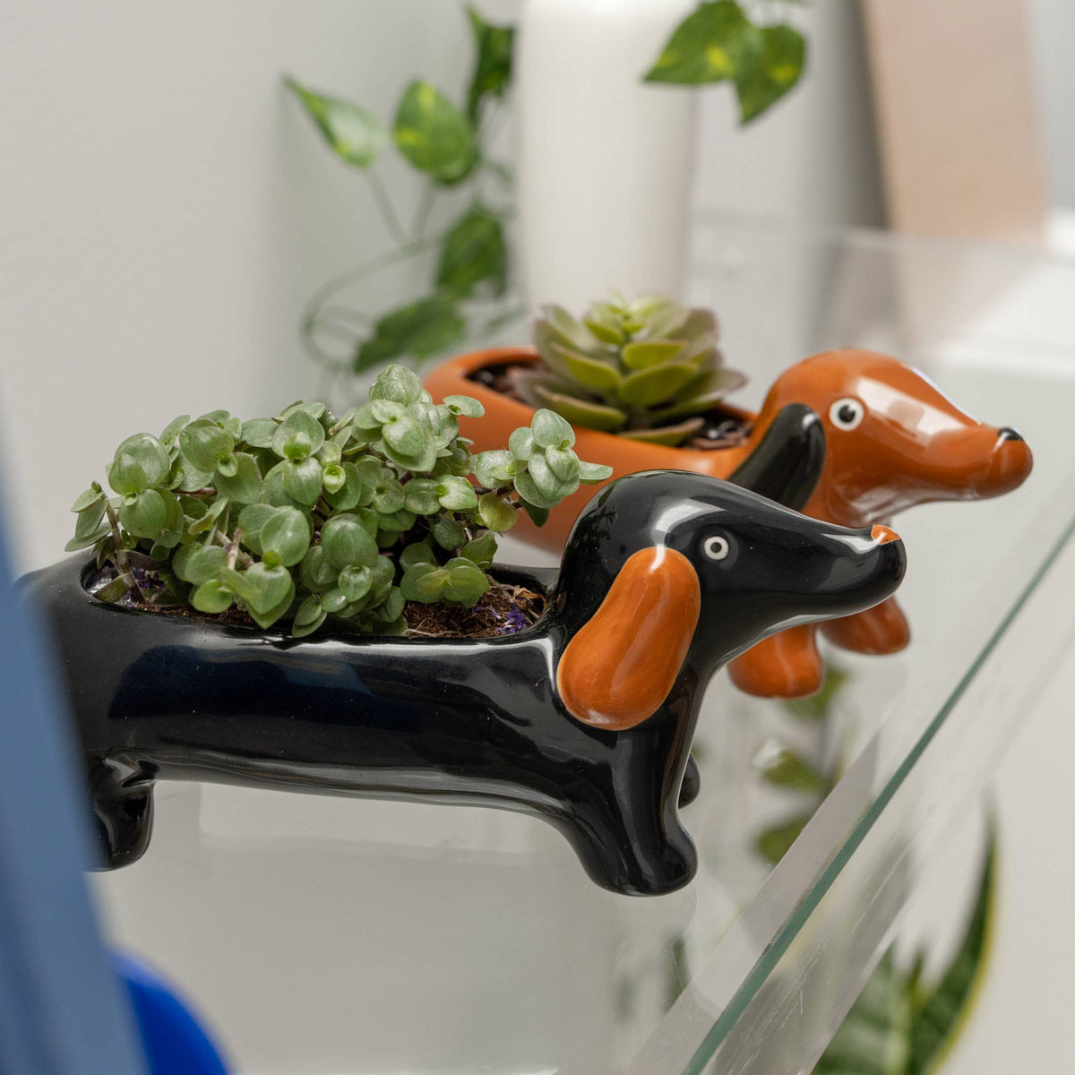 Brown Dachshund Vase