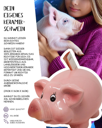 Hucha gigante XXL esmaltada