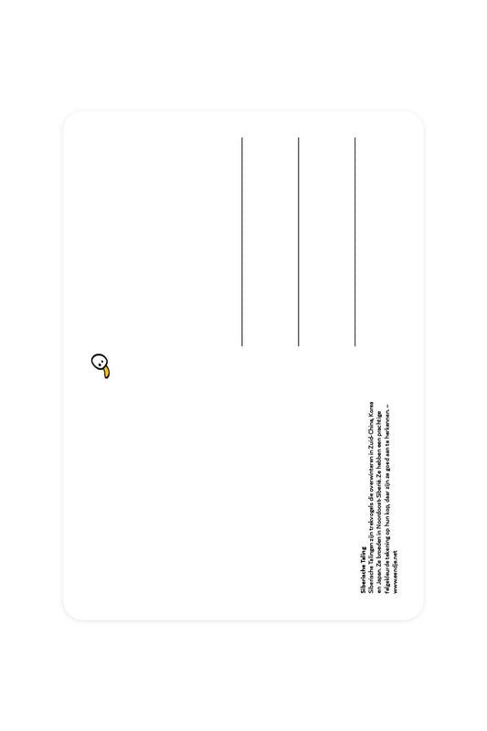 Postal con un cerceta siberiana