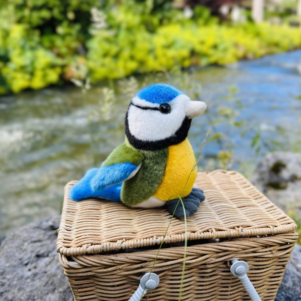 Brinquedo de peluche chapim-azul