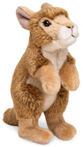 Peluche Bébé Kangourou Debout