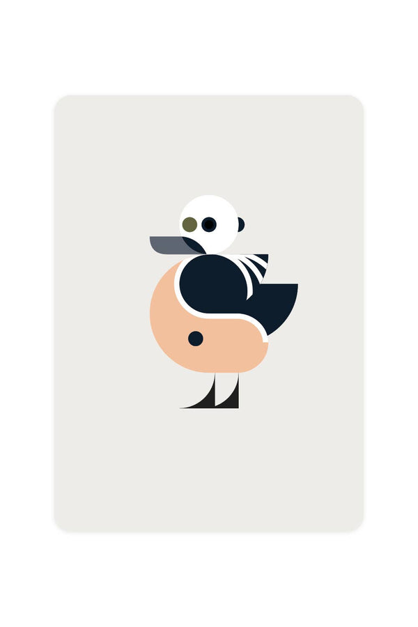 Carte postale avec Eider de Stellers