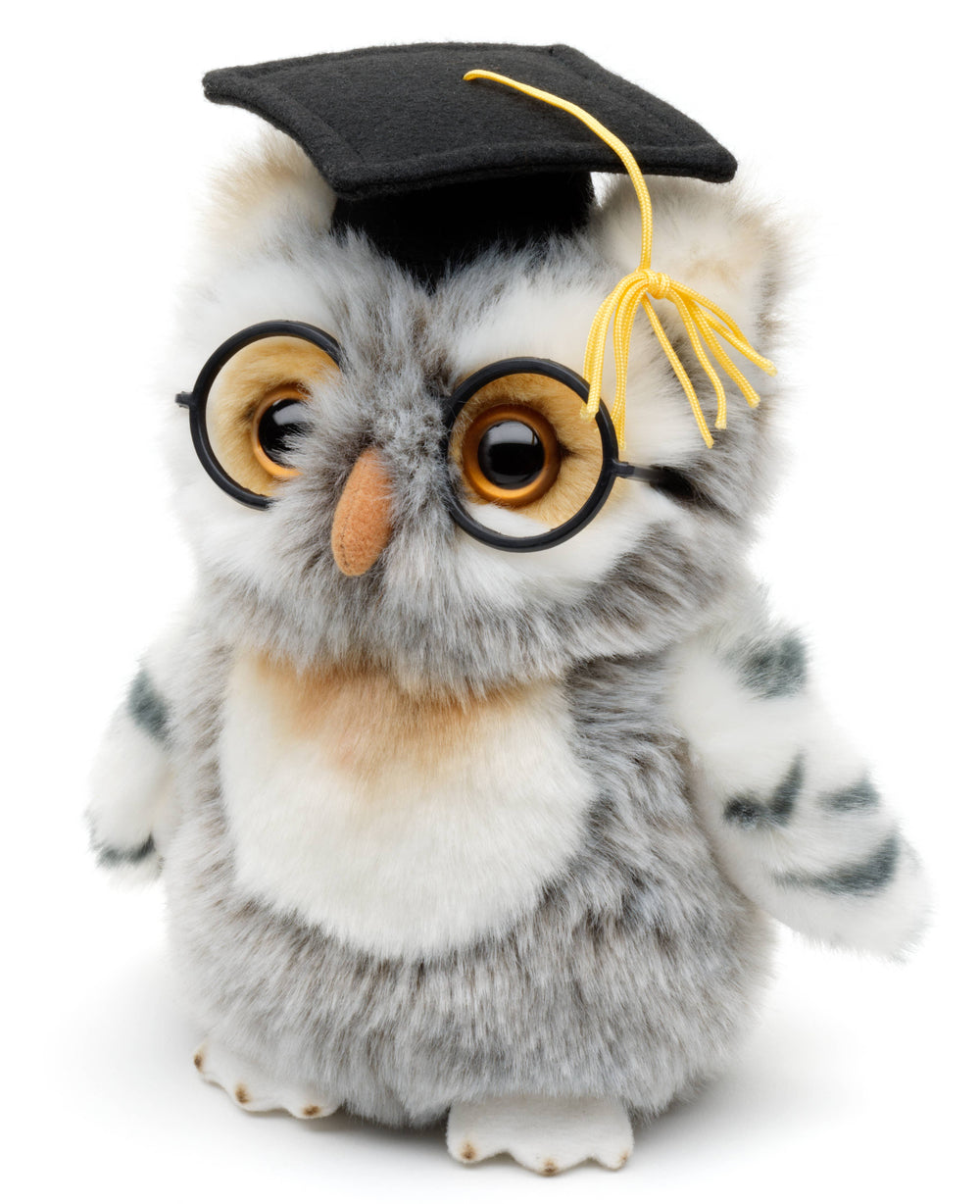 Peluche Hibou avec Chapeau de Médecin et Lunettes