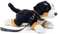 Peluche pour Chien de Montagne Bernois (avec Laisse) - 21 cm (Longueur)