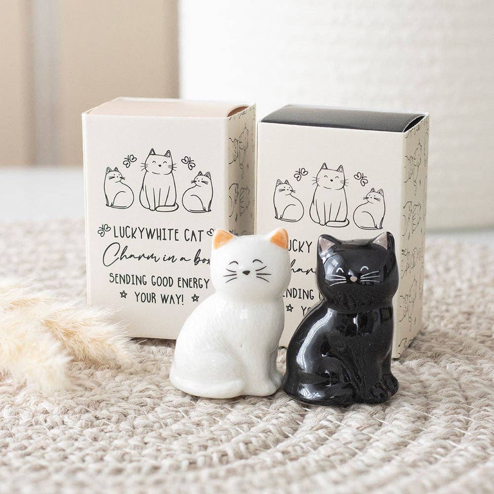 Amuletos da sorte: gatos pretos e brancos
