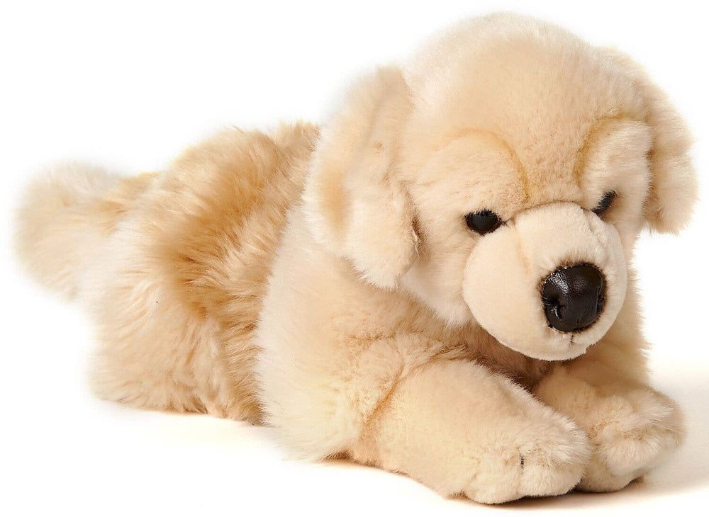 Peluche Golden Retriever, Couché - 43 cm (Longueur)