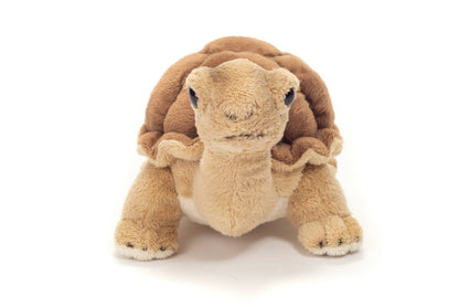 Tortuga de peluche