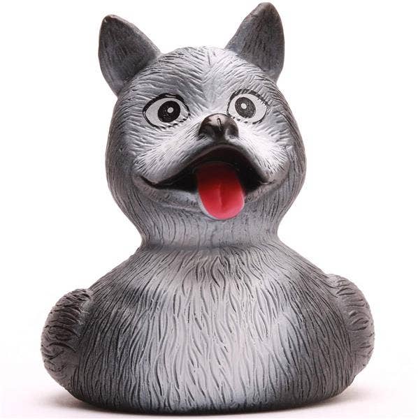 Pato Husky