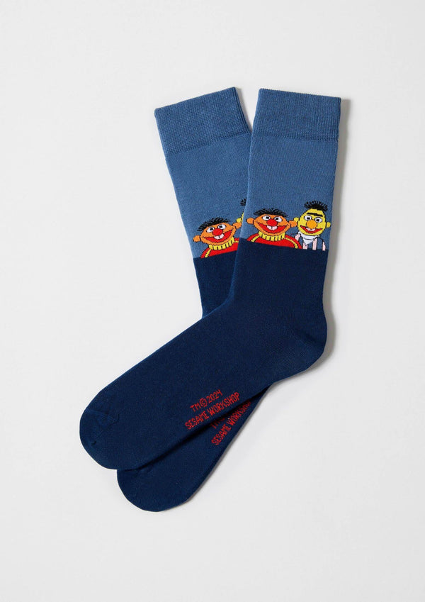 Chaussettes BeSesameStreet Epi & Blas Blue – Besocks