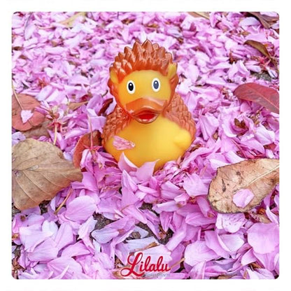 canard-herisson-lilalu
