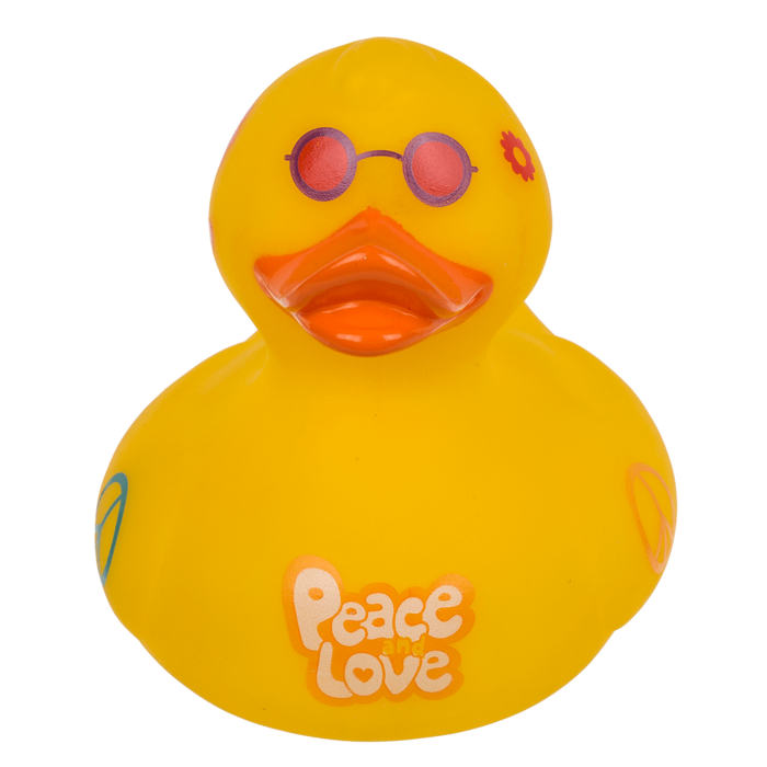 Hippie duck