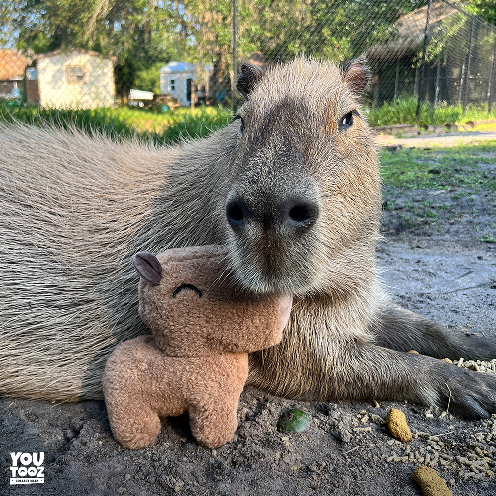 Capybara Plush (9in)
