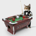 Billiard Table Cat Toy