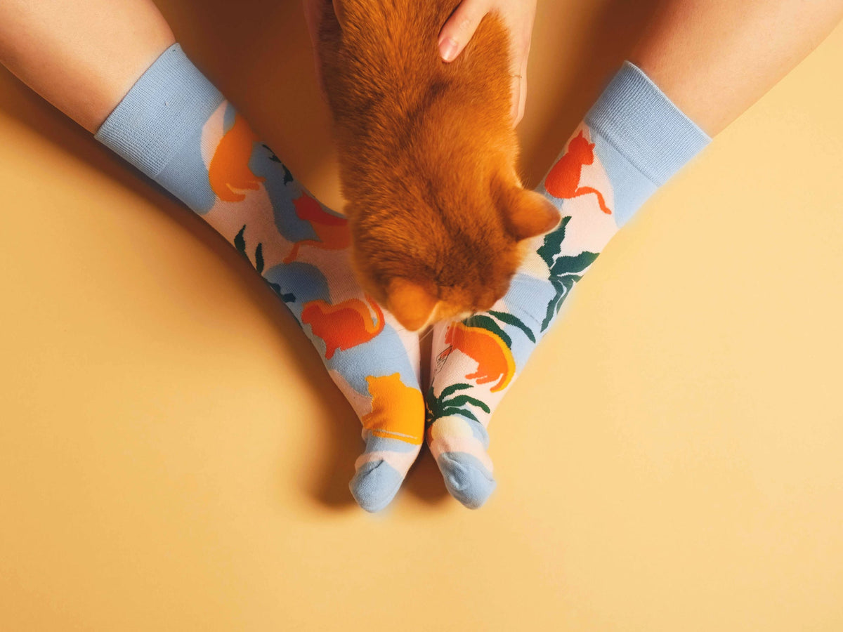 Chaussettes Chats-soleil