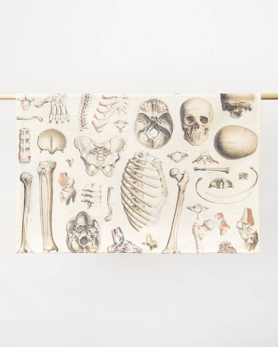 Torchon Squelette – produit scientifique Cognitive Surplus EU, vue 3