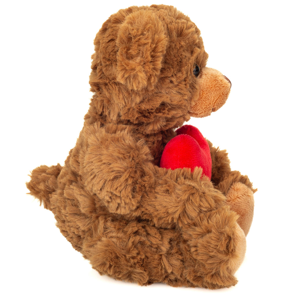 Brown Teddy Bear with Heart – 20 cm