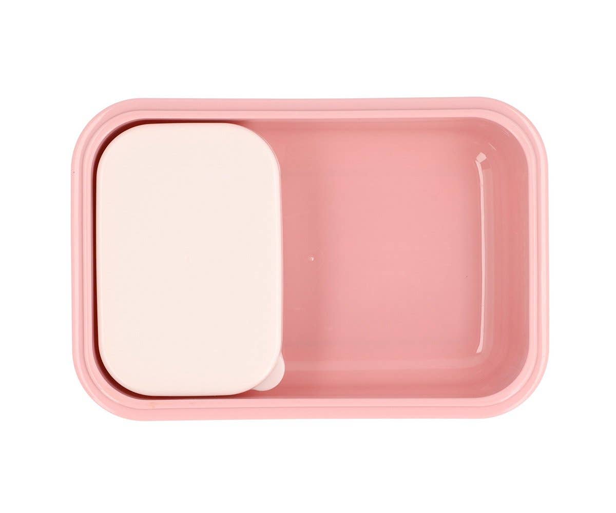 Boîte à déjeuner Bento Insectes