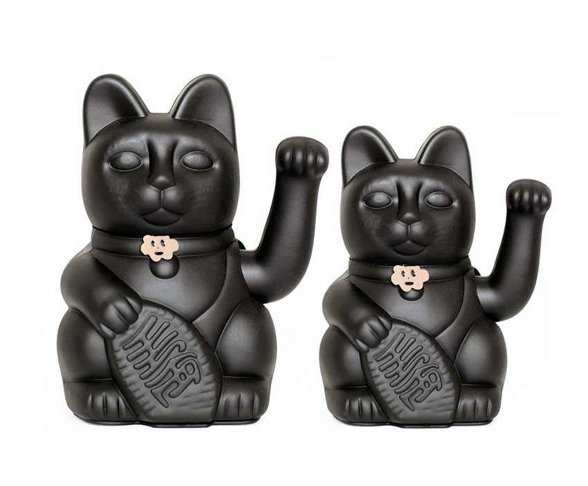 Gatto nero fortunato