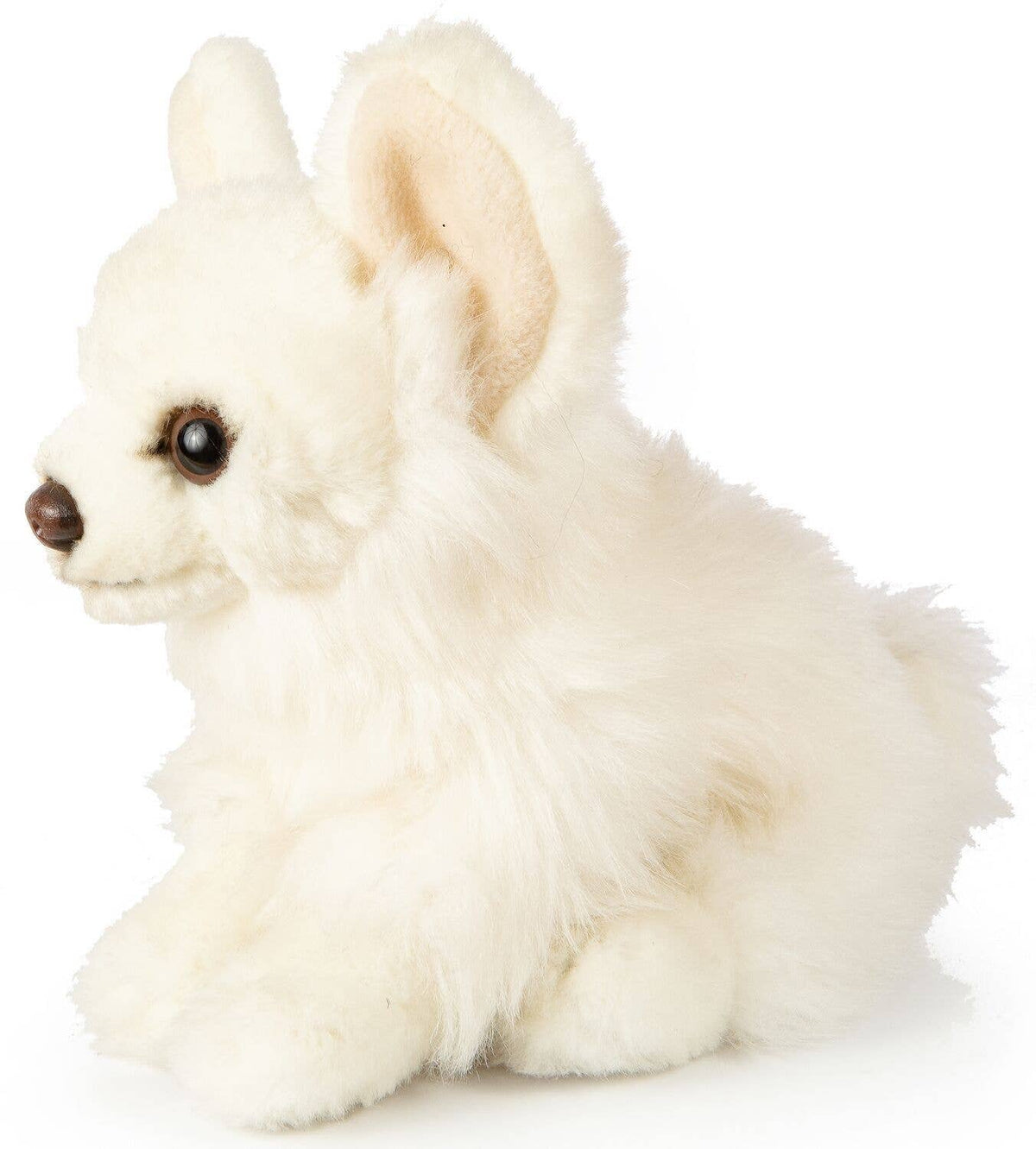 Peluche Chihuahua Assis (Blanc) - 18 cm (Longueur)