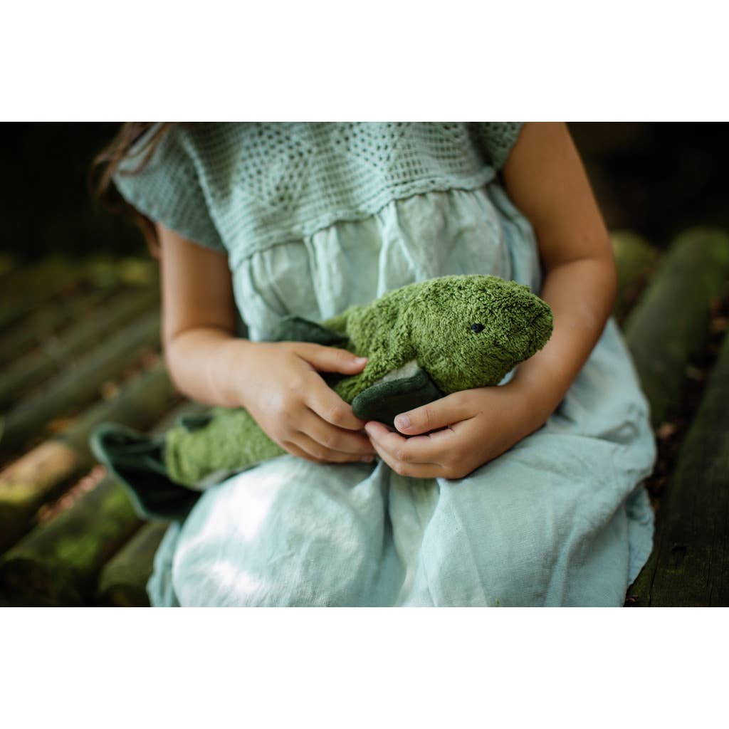 Piccoli teneri pesciolini di abete verde | Senger-Naturwelt