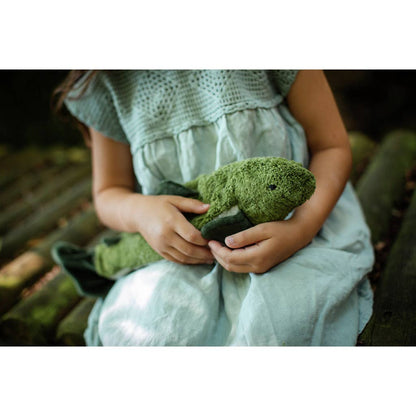 Piccoli teneri pesciolini di abete verde | Senger-Naturwelt
