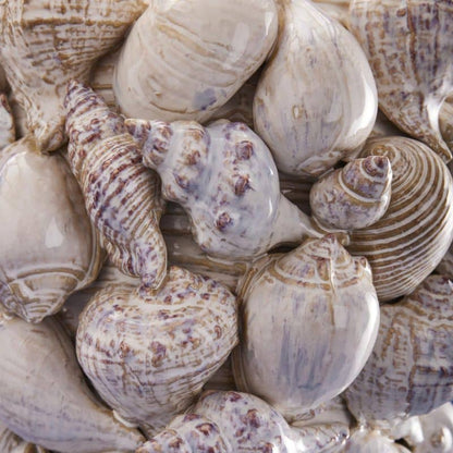 Seashell Vase, Natural Stoneware M