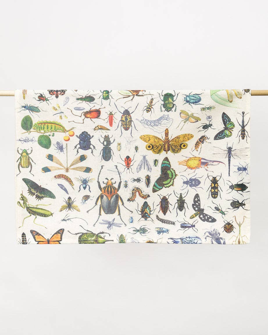 Torchon Insectes