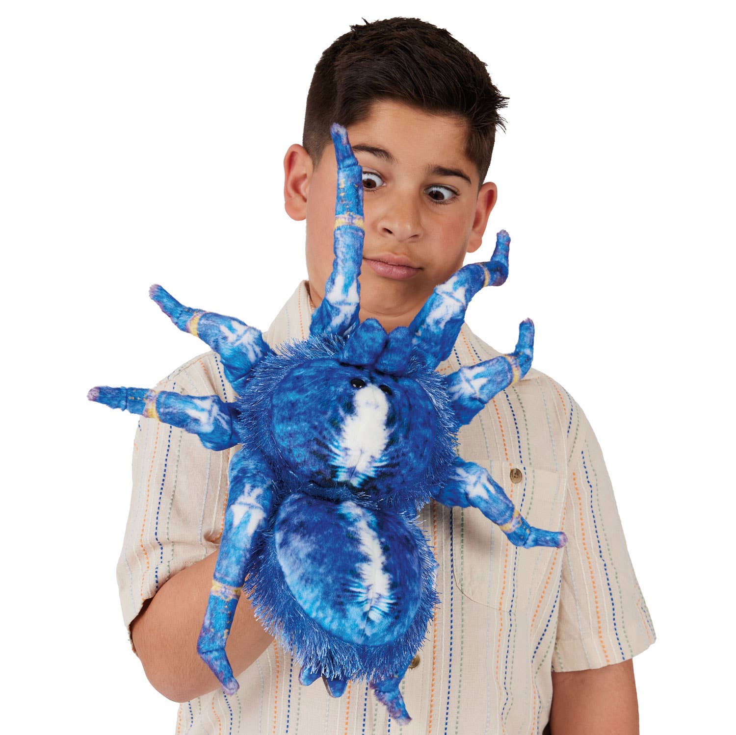 Marionnette à main Tarentule bleue/Tarentule bleue 3222 Folkmanis réaliste