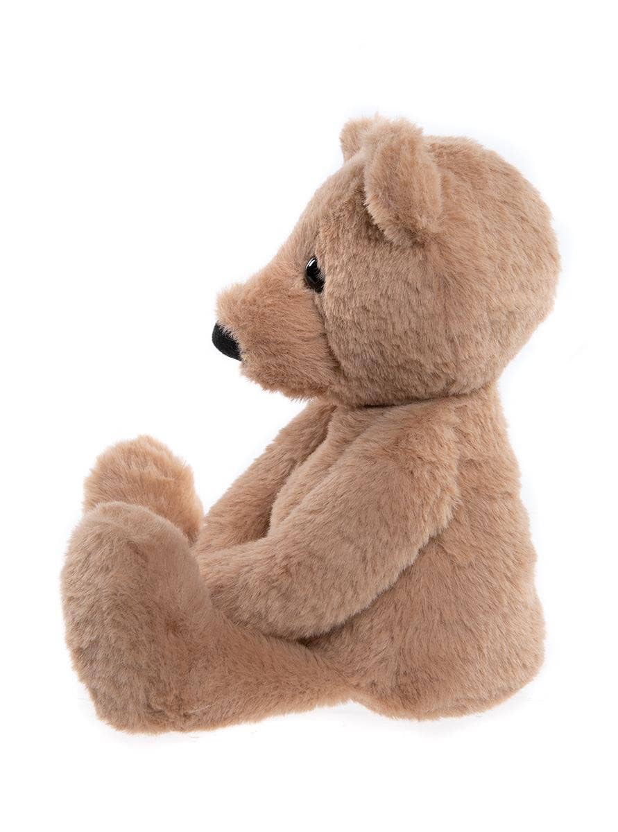 Urso e Eu - Charlie, o Urso Castanho de Peluche