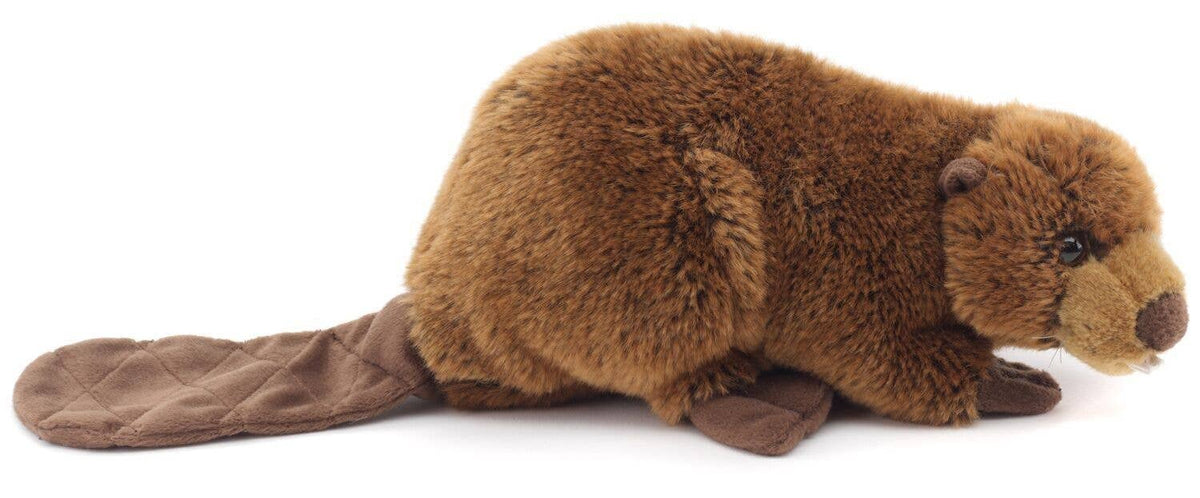 Peluche castor